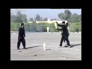 something went wrong - iranian special forces