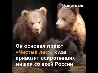 shelter for orphaned bear cubs