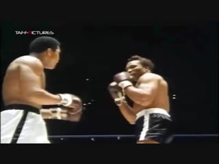 muhammad ali best knockouts